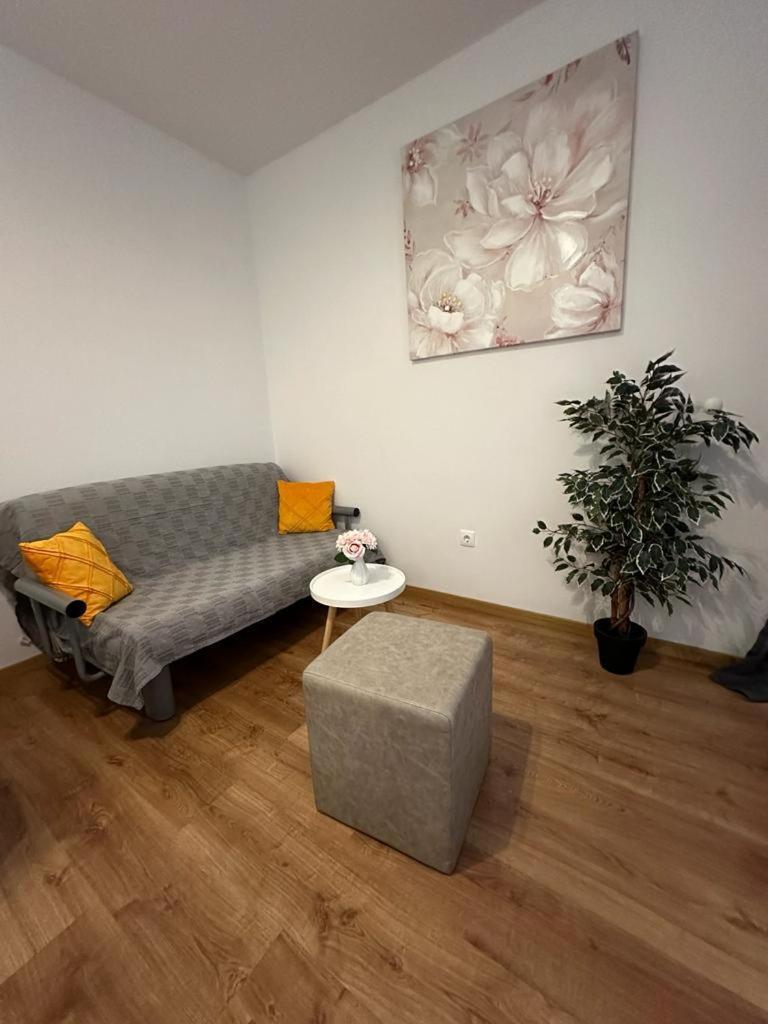 Apartmani Vice Brela Zewnętrze zdjęcie